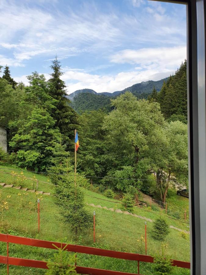 Casa Dor De Ea Villa Dîmbovicioara Eksteriør bilde